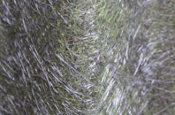 Pontllanfraith fibreglass roof work